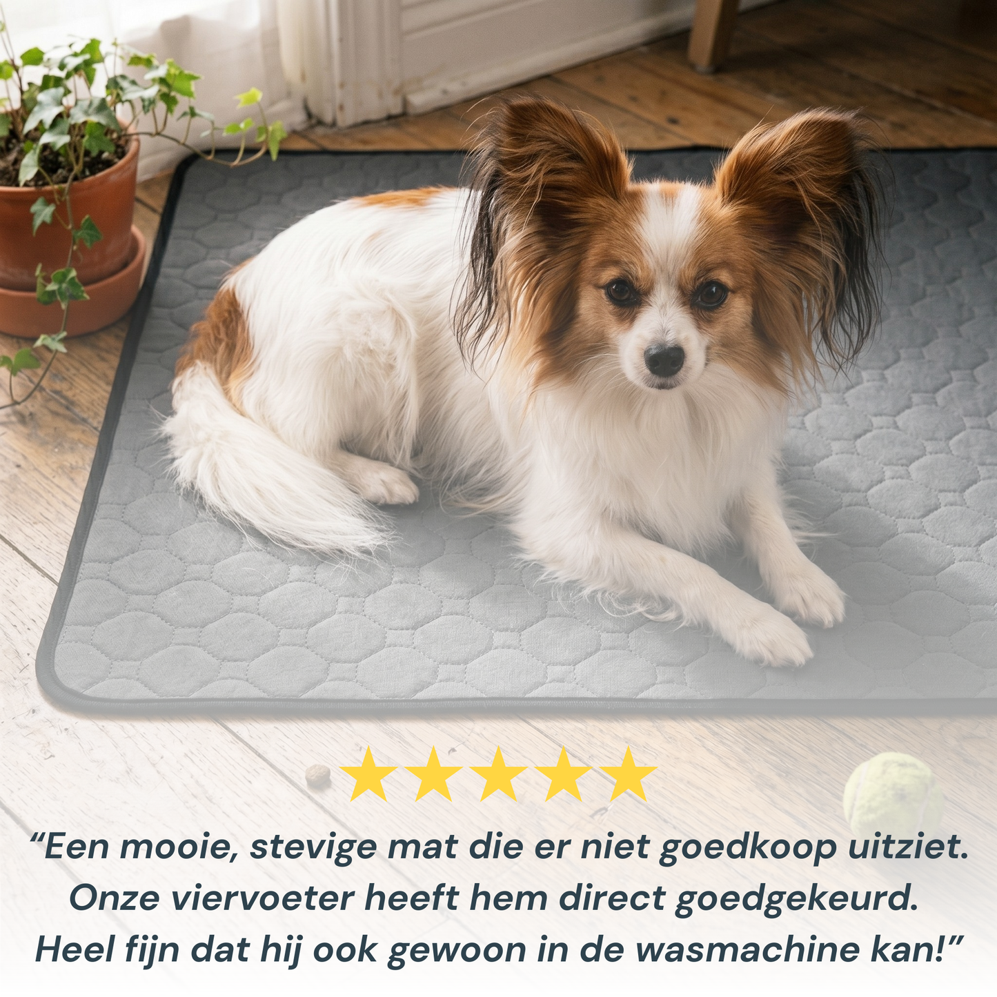 Padsy™ Wasbare Zindelijkheidsmat