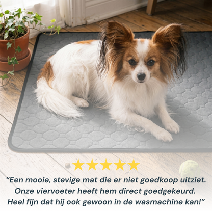 Padsy™ Wasbare Zindelijkheidsmat